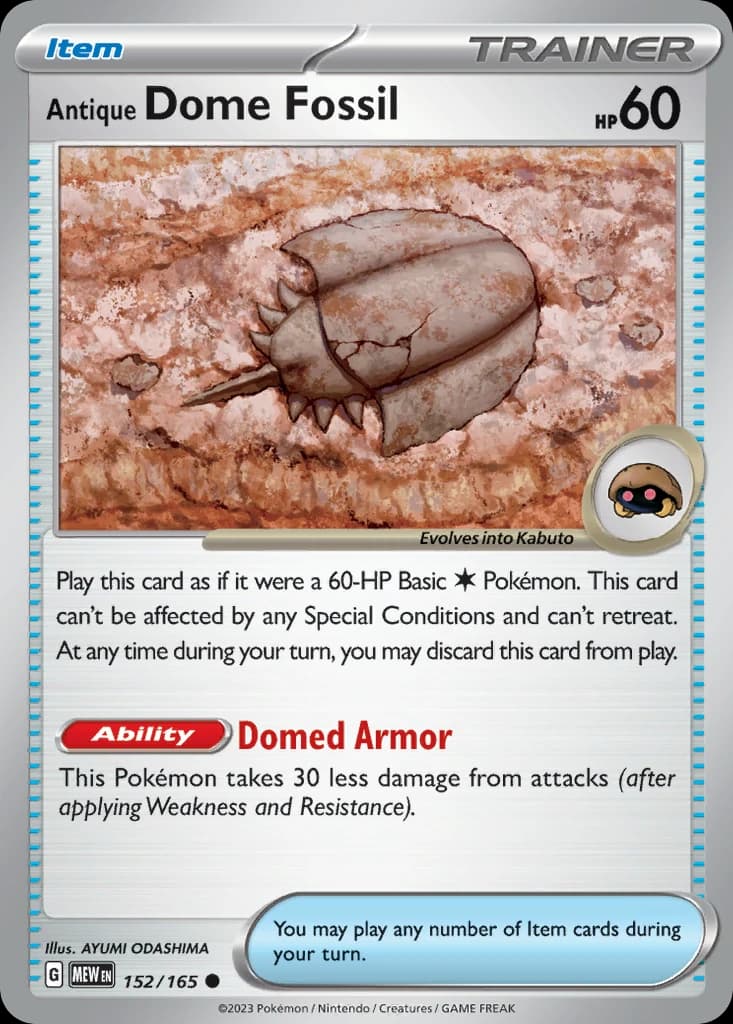 Antique Dome Fossil (152)