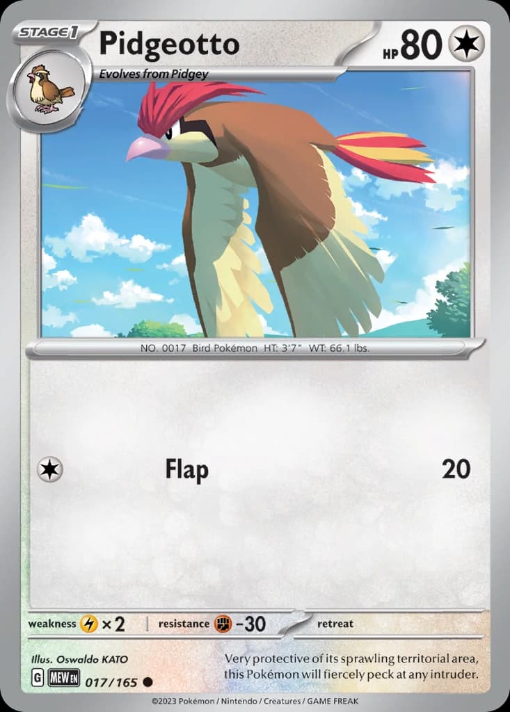 Pidgeotto (17)