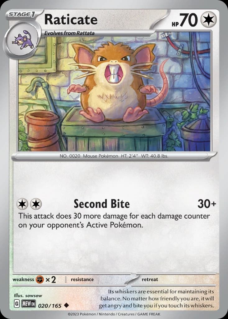 Raticate (20)
