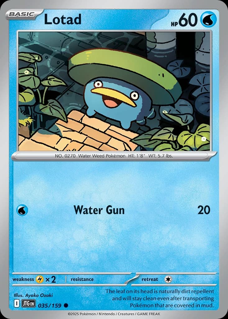 Lotad (35)