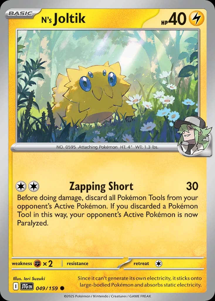 N's Joltik (49)