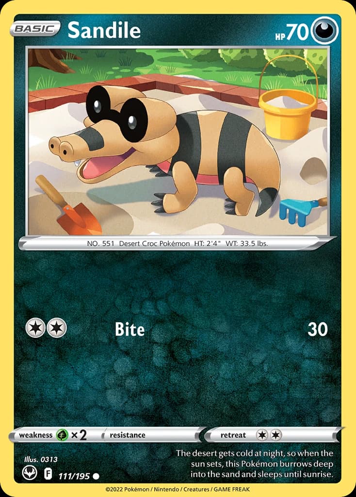 Sandile (111)