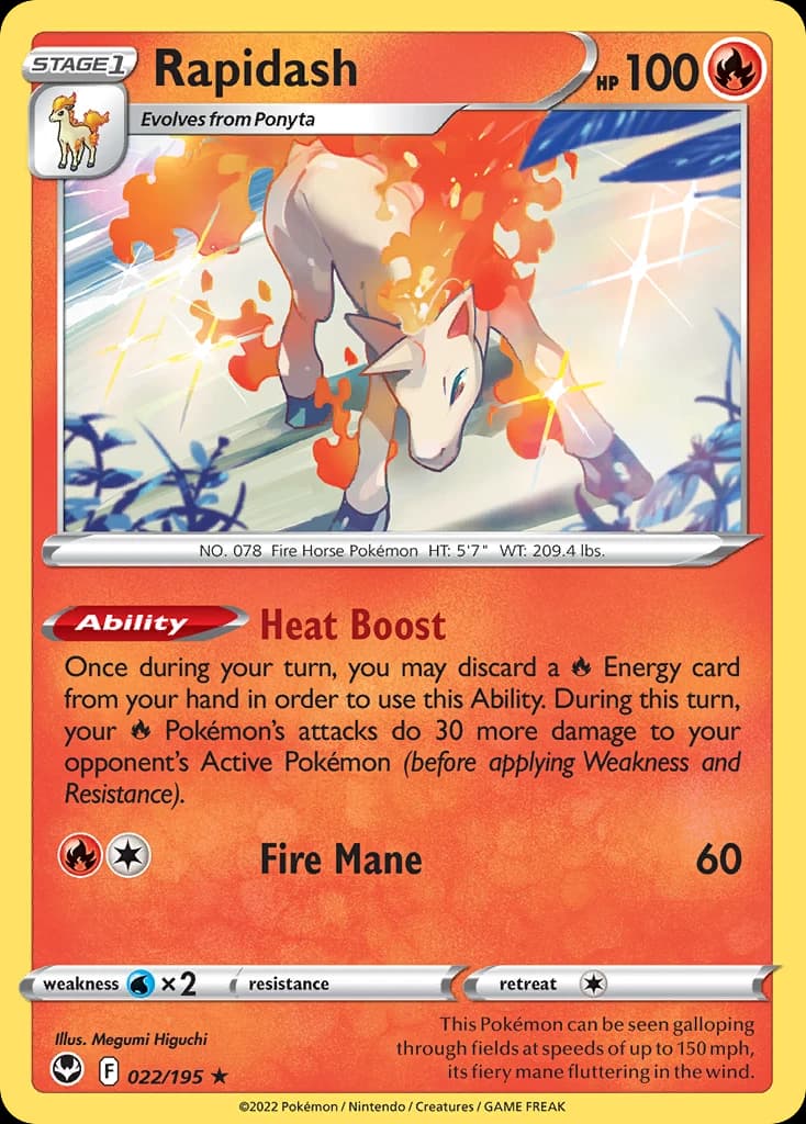 Rapidash (22)