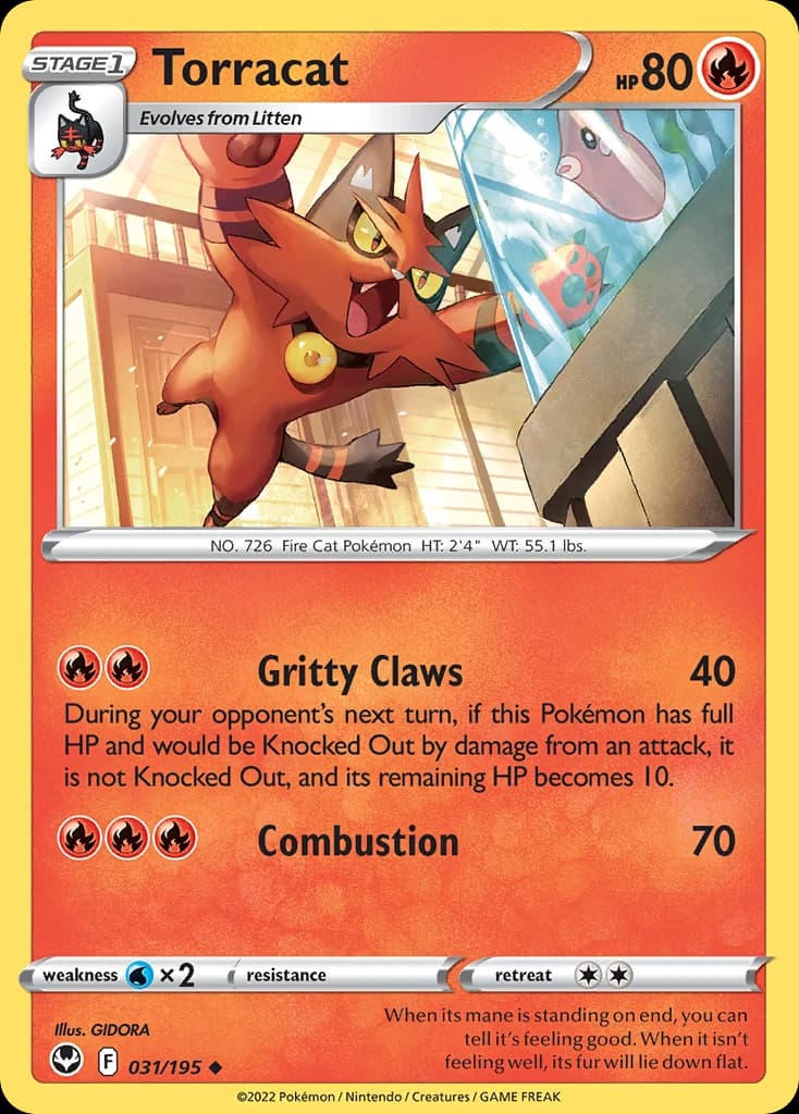 Torracat (31)