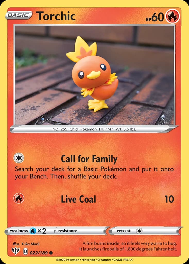 Torchic (22)