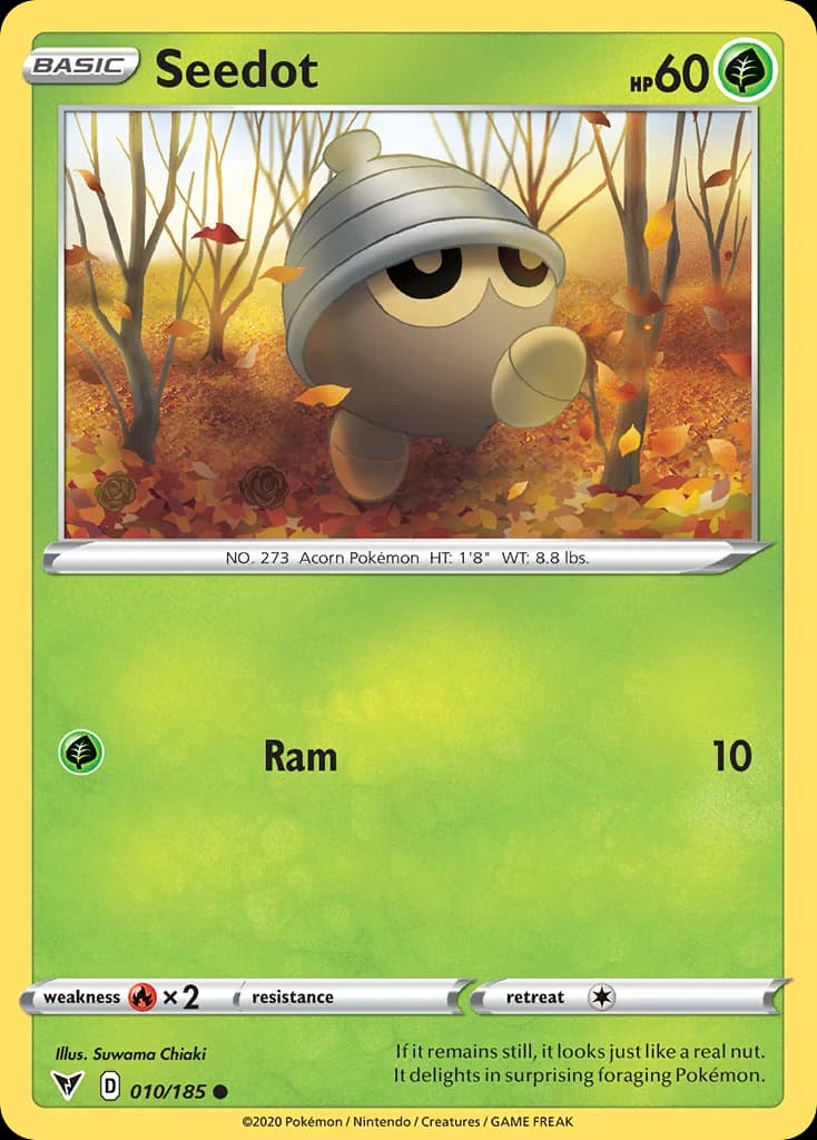 Seedot (10)