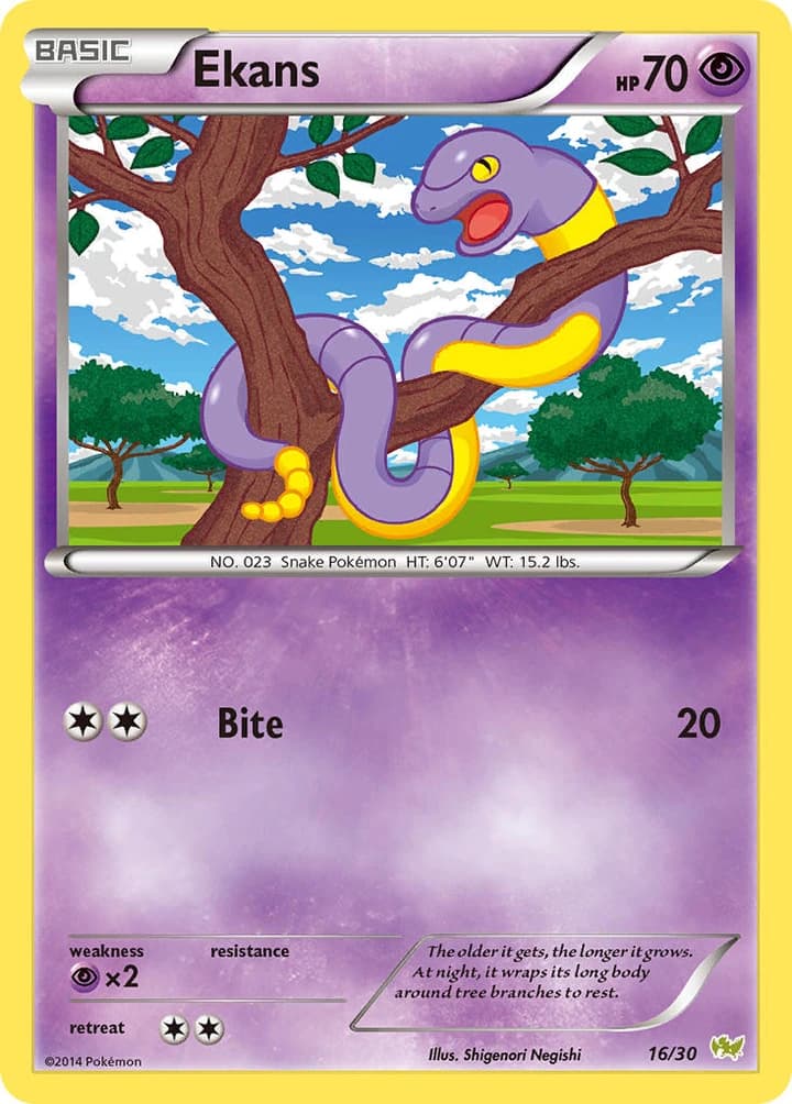 Ekans (16)