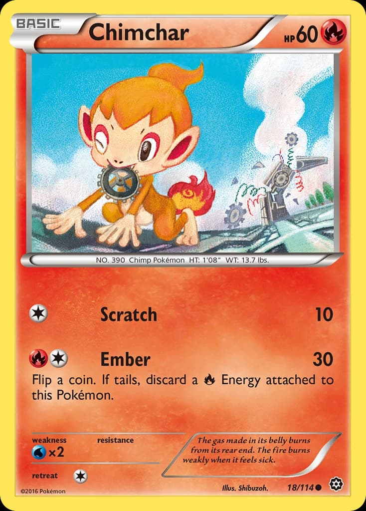 Chimchar (18)