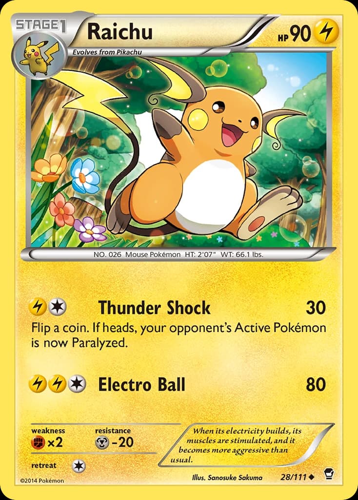 Raichu (28)