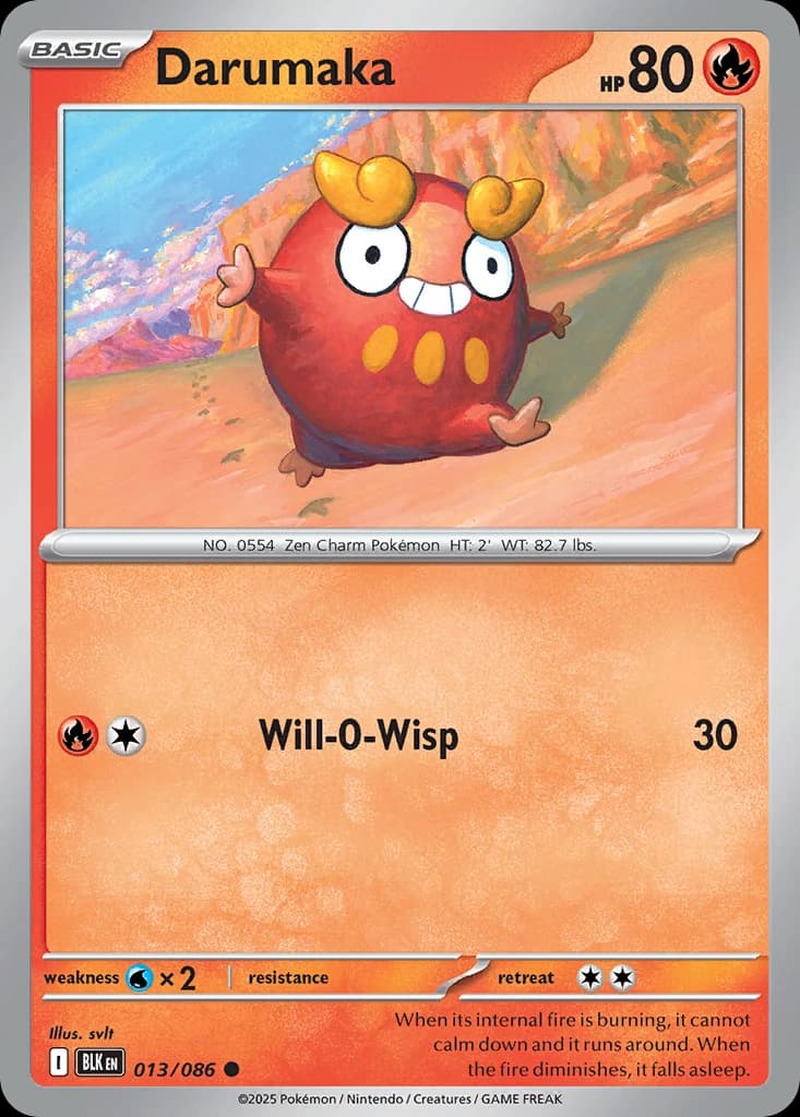 Darumaka (13)