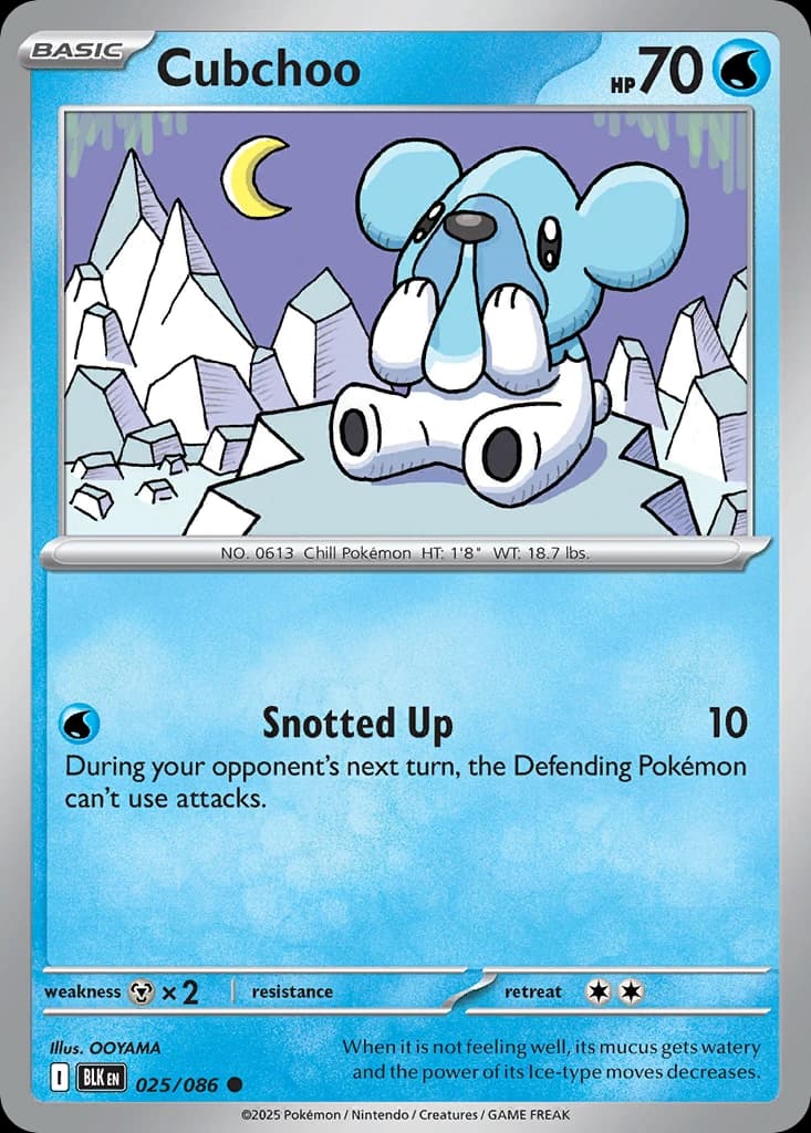 Cubchoo (25)