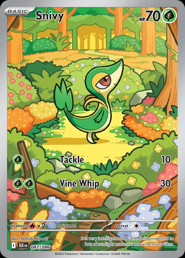 Snivy (87)