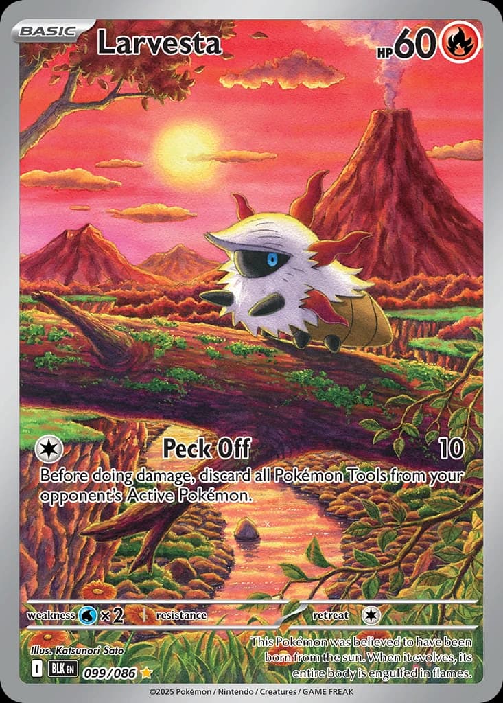 Larvesta (99)