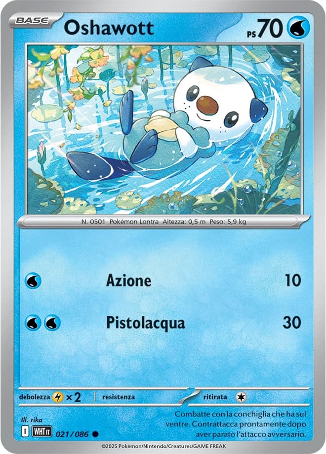 Oshawott (21)