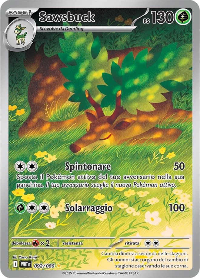 Sawsbuck (92)