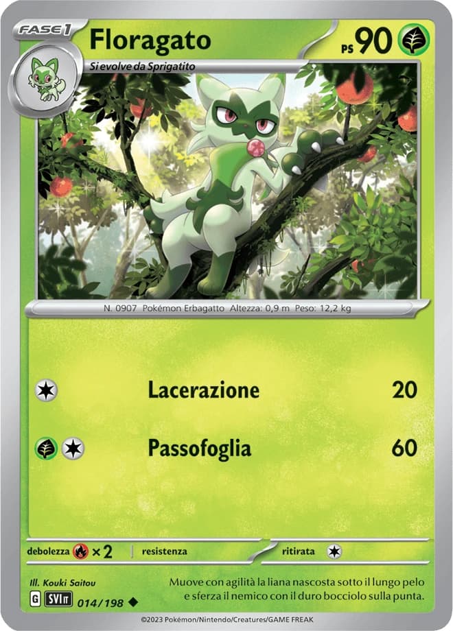 Floragato (14)