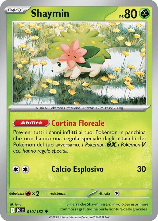Shaymin (10)