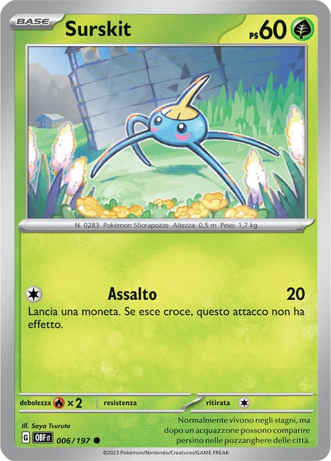 Surskit (6)