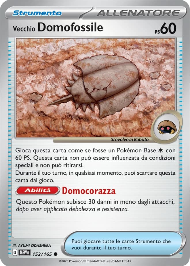 Antique Dome Fossil (152)