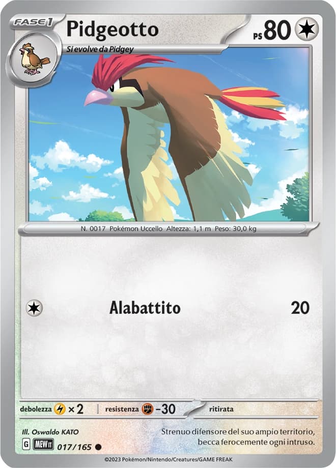 Pidgeotto (17)