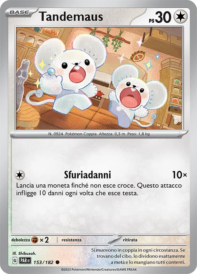 Tandemaus (153)