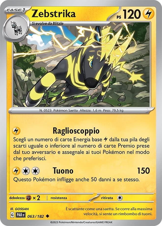 Zebstrika (63)