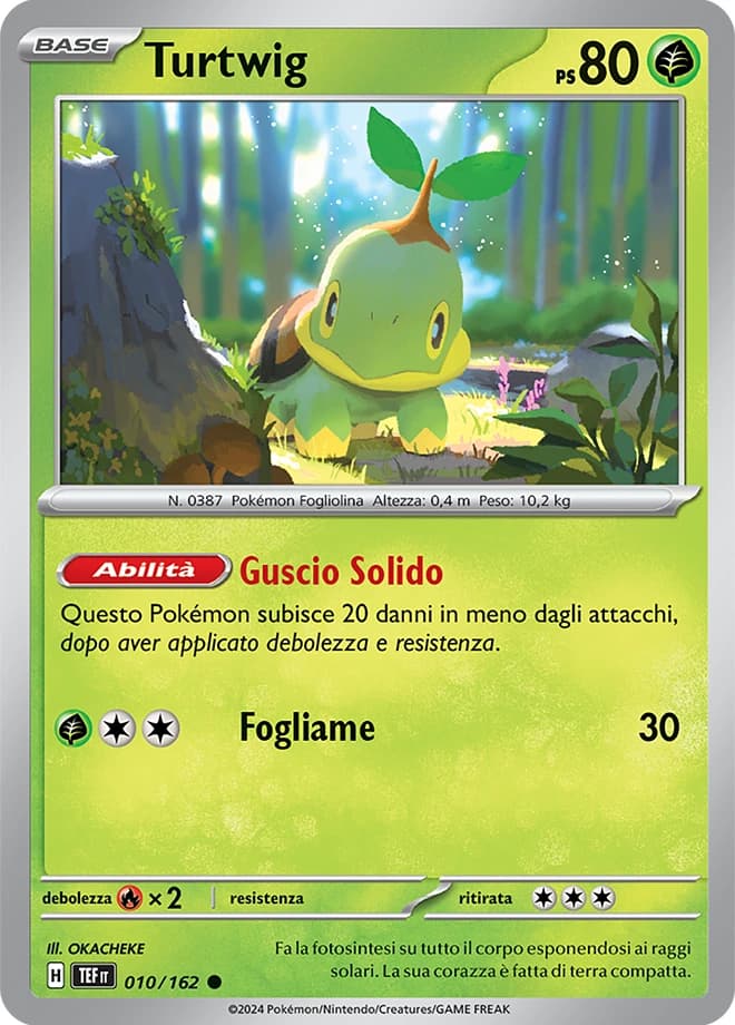 Turtwig (10)