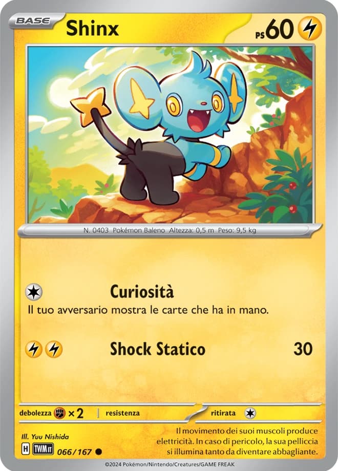 Shinx (66)