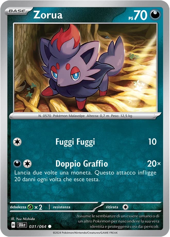 Zorua (31)