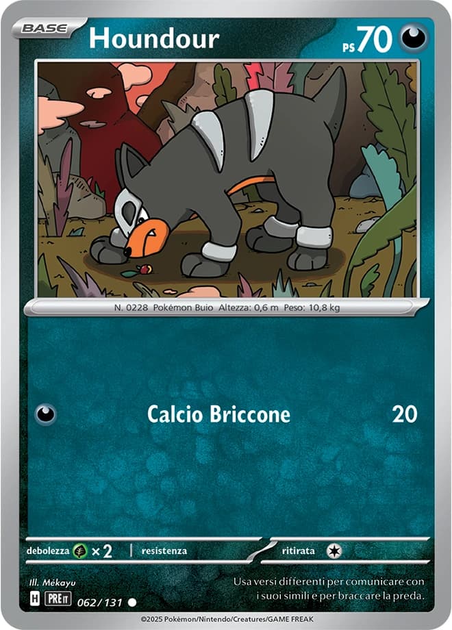 Houndour (62)
