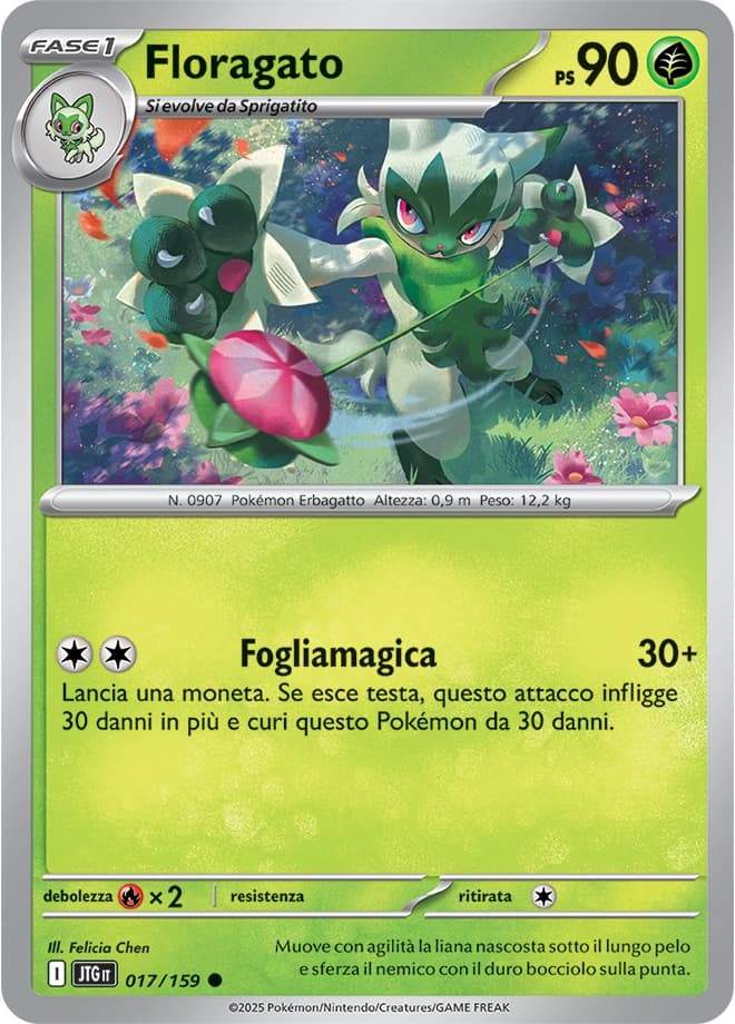 Floragato (17)