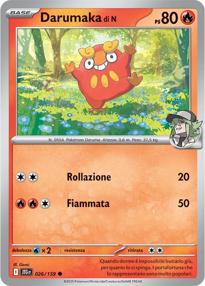 N's Darumaka (26)