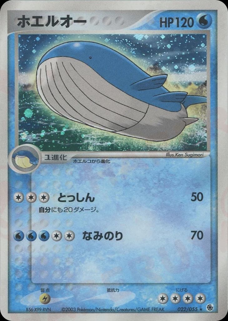 Wailord (22)