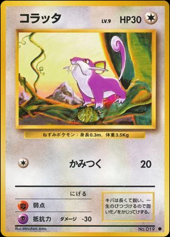Rattata (19)