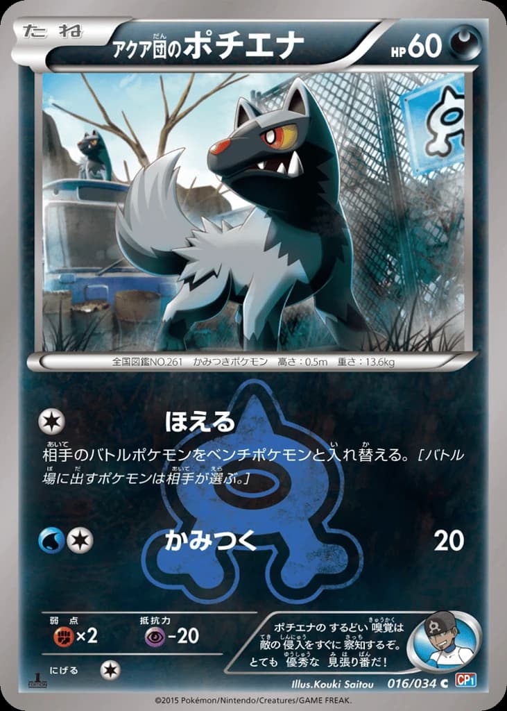 Team Aqua's Poochyena (16)