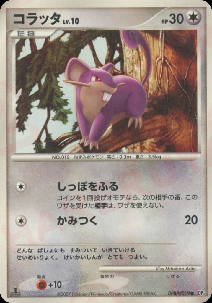 Rattata (19)