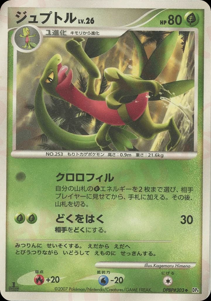 Grovyle (303)