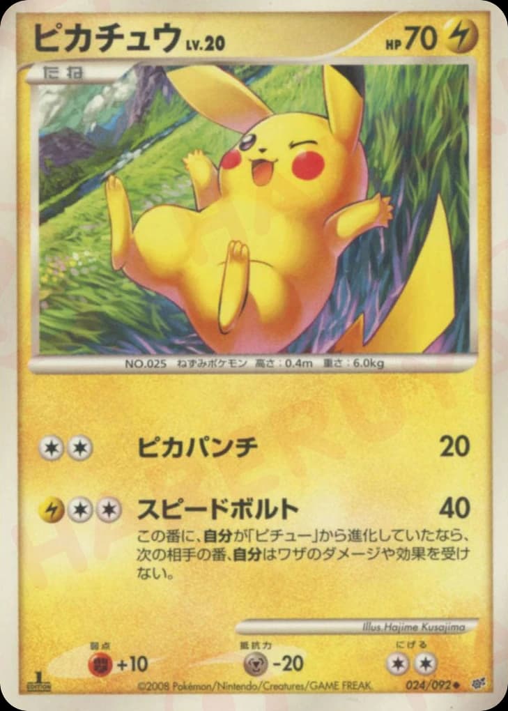 Pikachu (24)