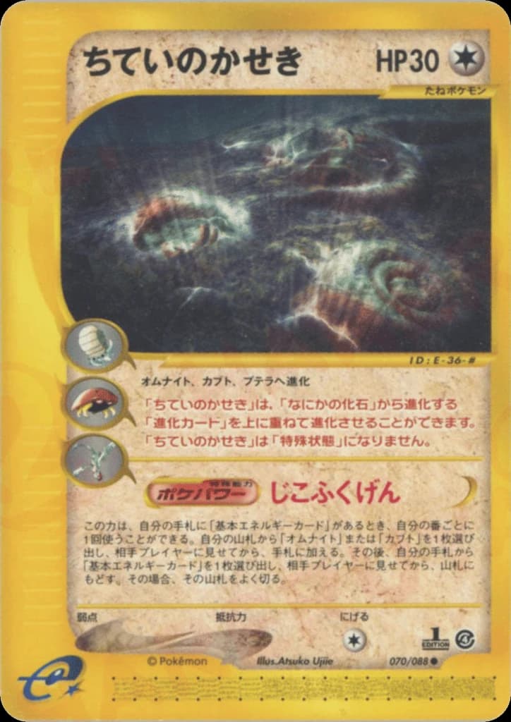 Buried Fossil (70)