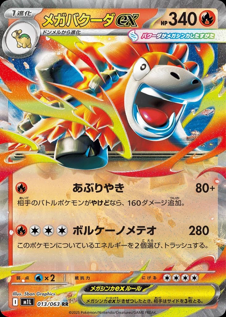 Mega Camerupt ex (13)