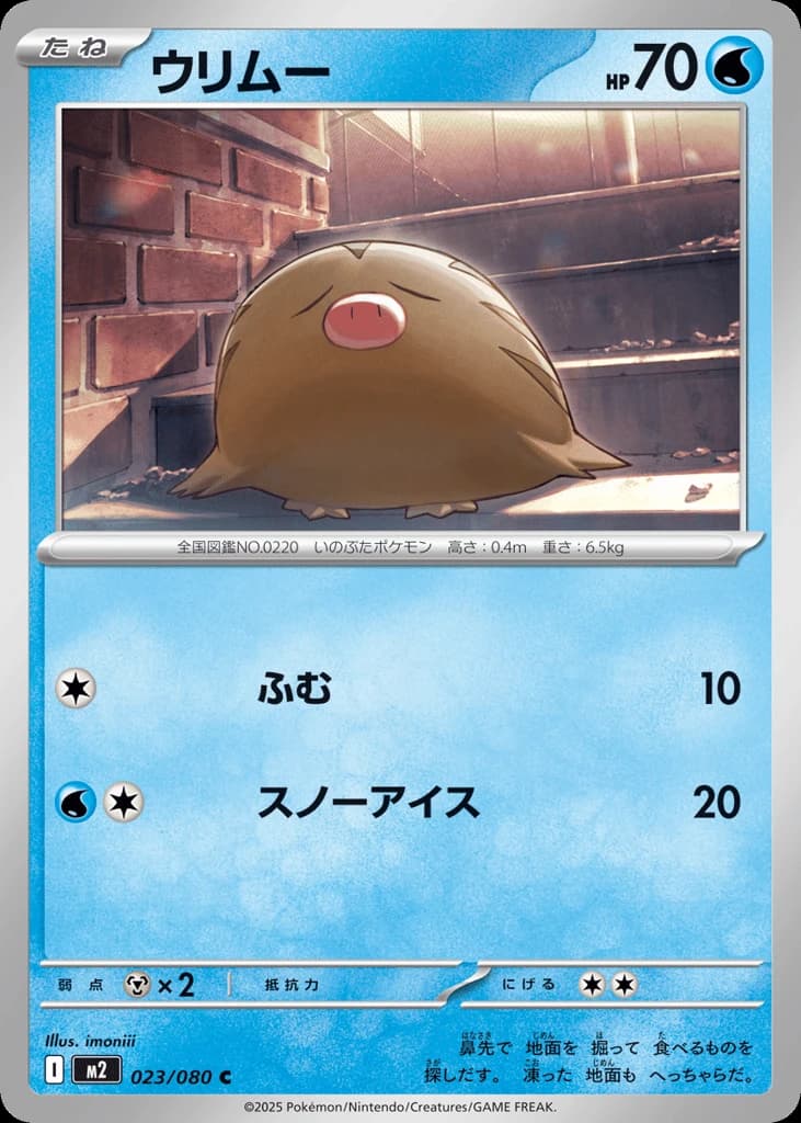 Swinub (23)