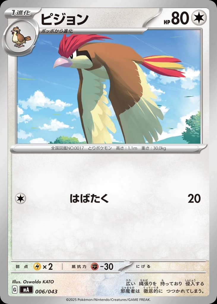 Pidgeotto (6)