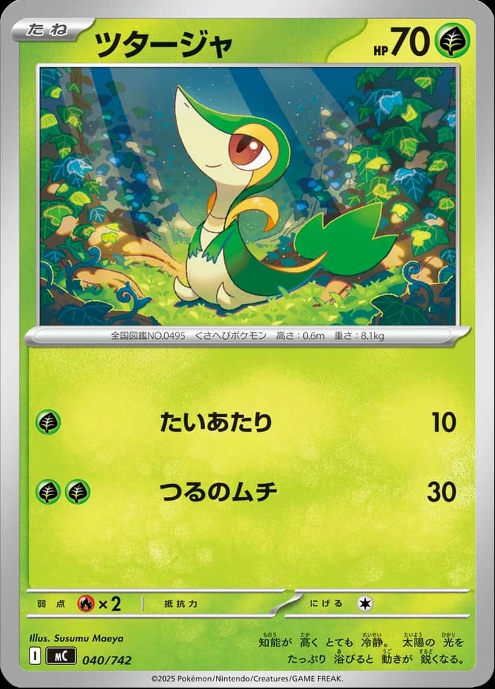 Snivy (40)