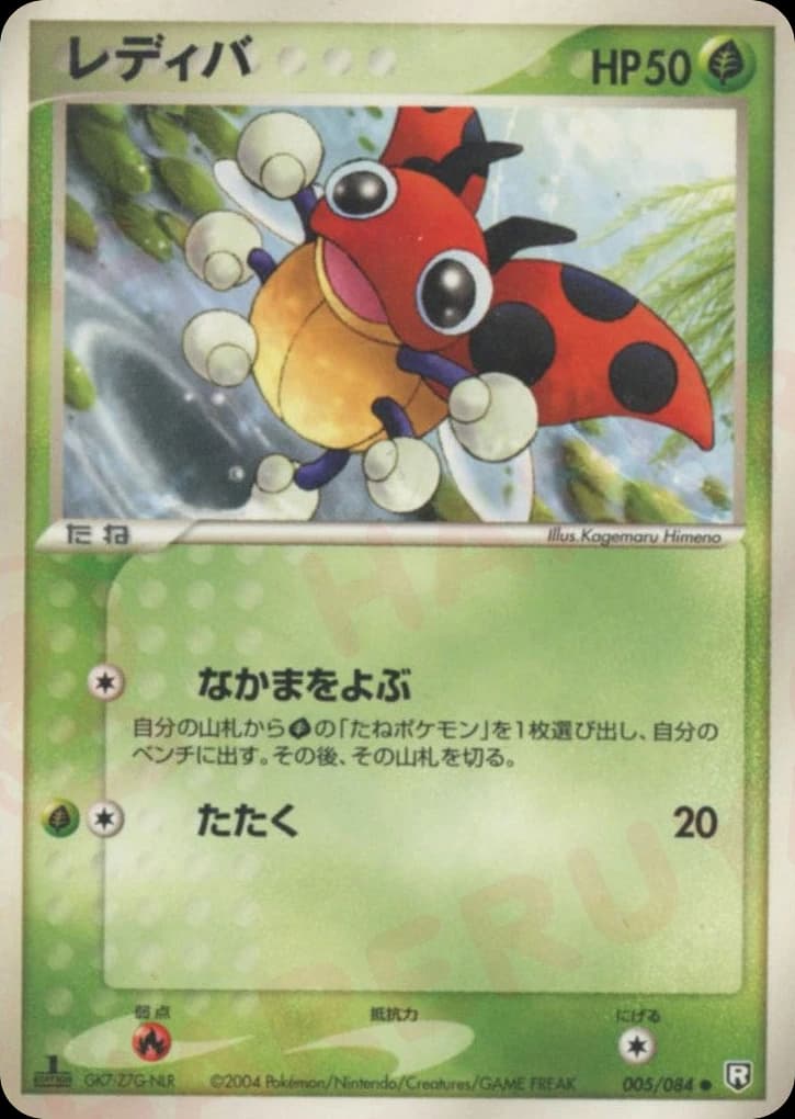 Ledyba (5)