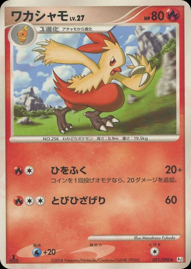 Combusken (21)
