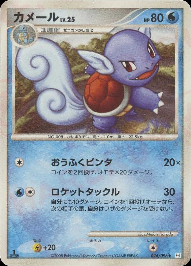 Wartortle (24)