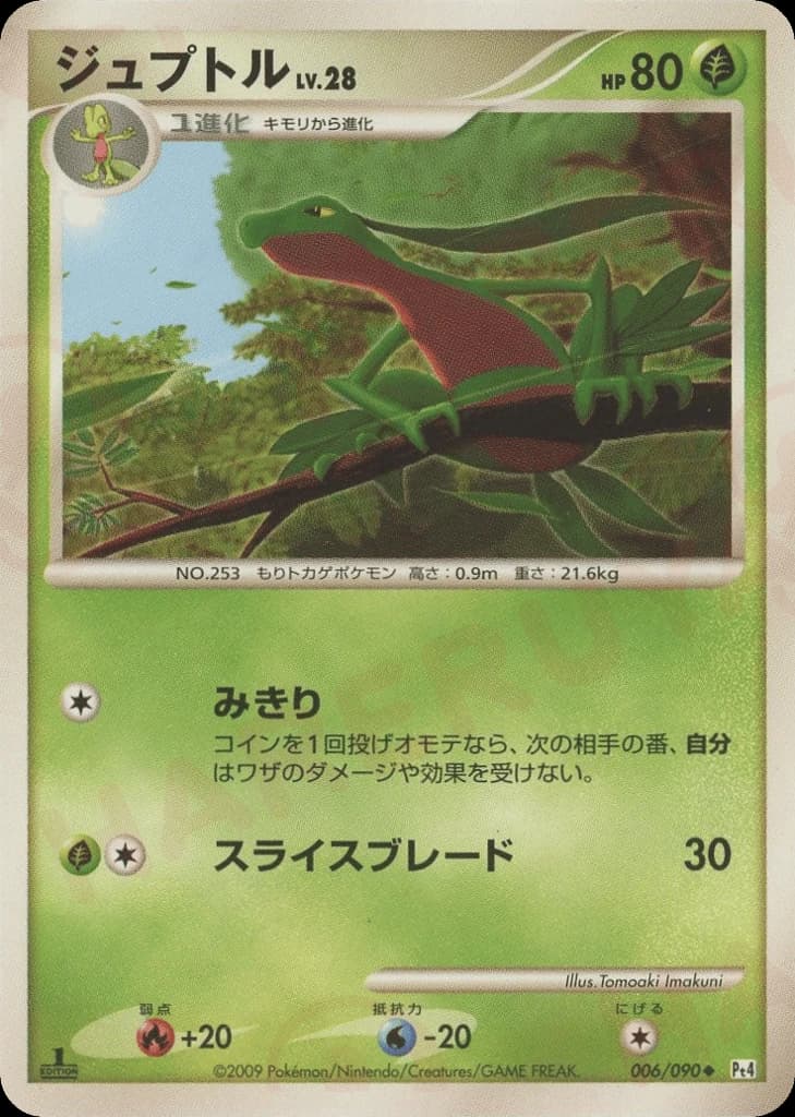 Grovyle (6)