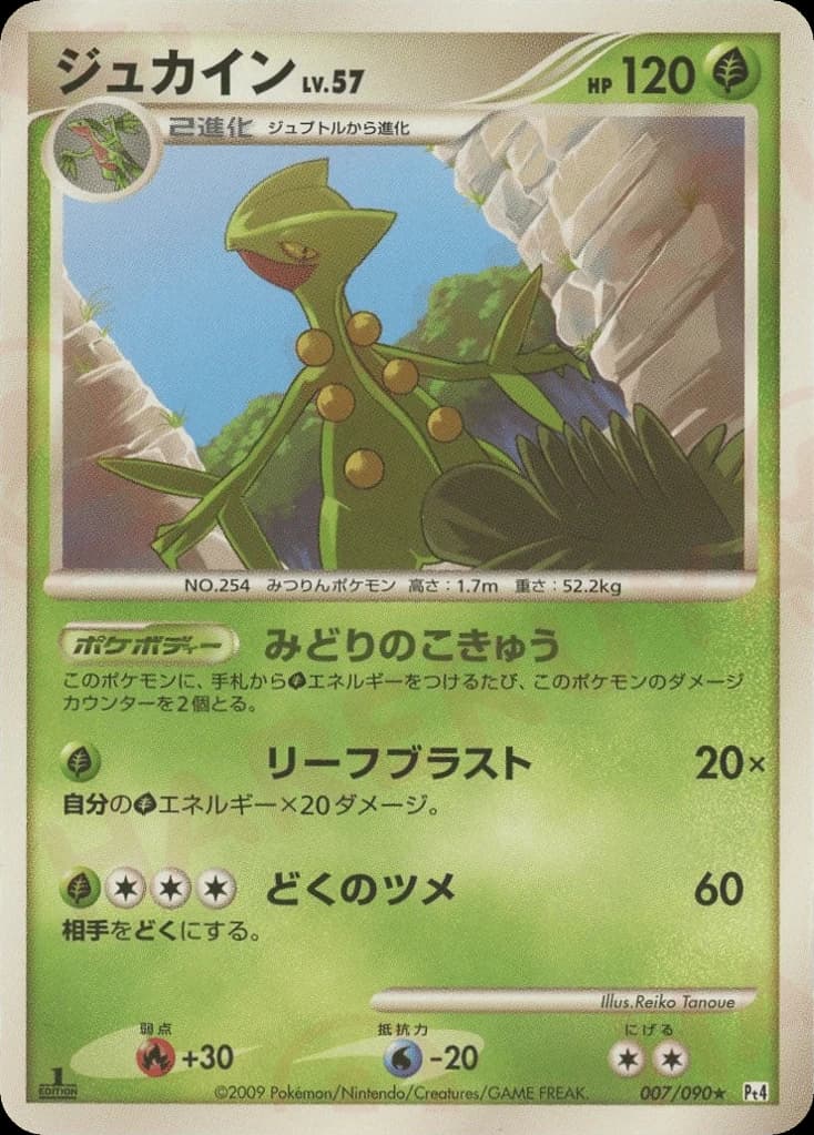 Sceptile (7)