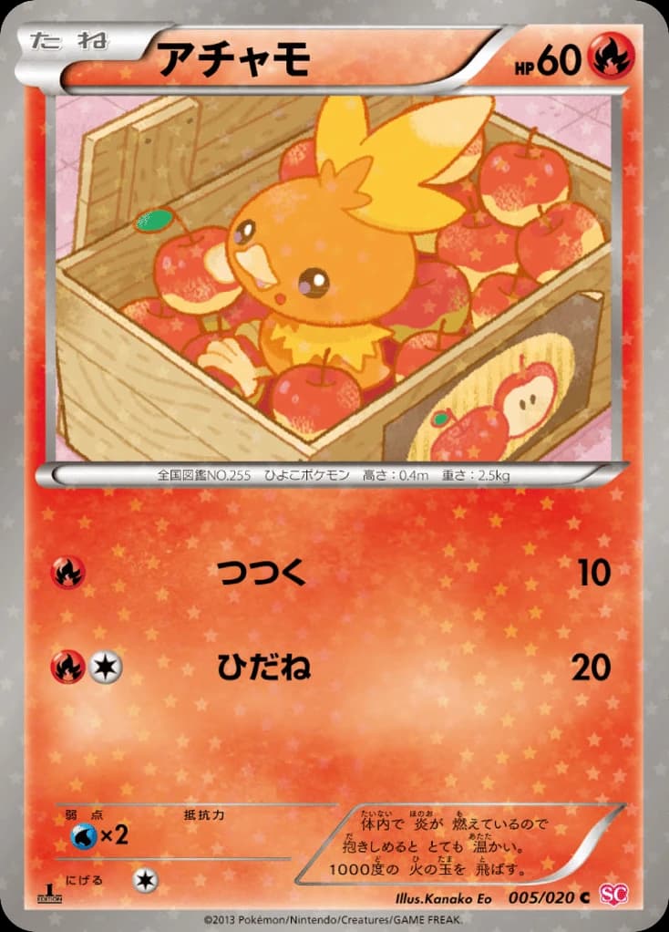 Torchic (5)