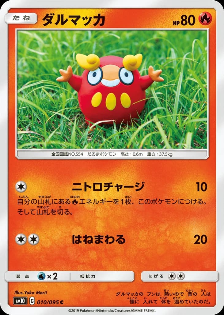 Darumaka (10)